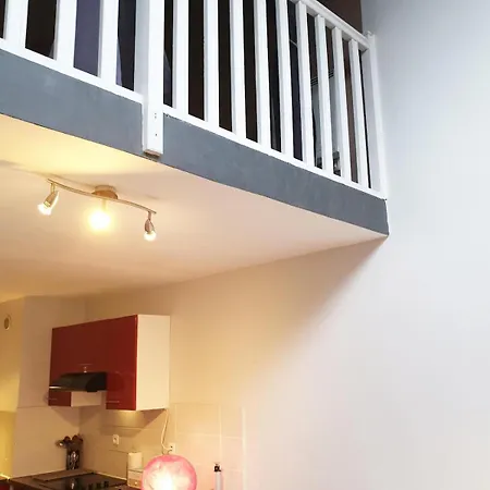 L Esprit Loft, Duplex Pour 4 Proche Lyon Et Partdieu Appartement