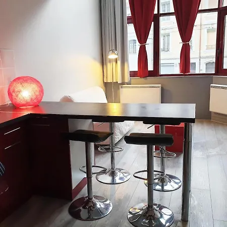 Appartement L Esprit Loft, Duplex Pour 4 Proche Lyon Et Partdieu Villeurbanne